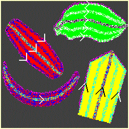 Optophone-like multiple-tracer polytracers